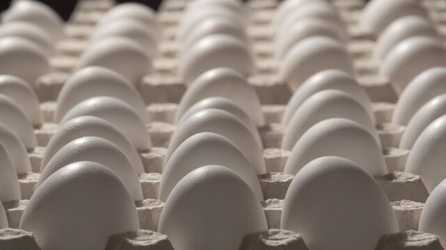 Hand lifts an egg from a carton, removal of eggs from textured surface