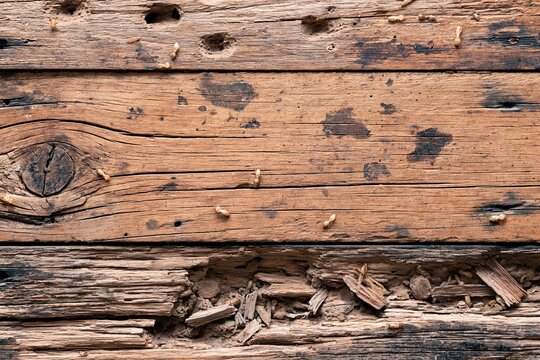 Close-Up of Weathered Wooden Plank Surface