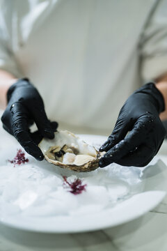 Chef preparing fresh oyster on ice with gloves