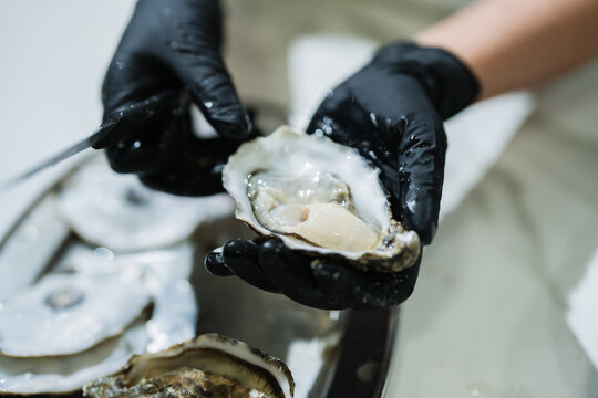 Chef hands in black gloves shucking fresh oyster