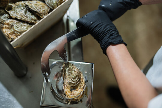 Person opening fresh oyster using shucking machine in kitchen