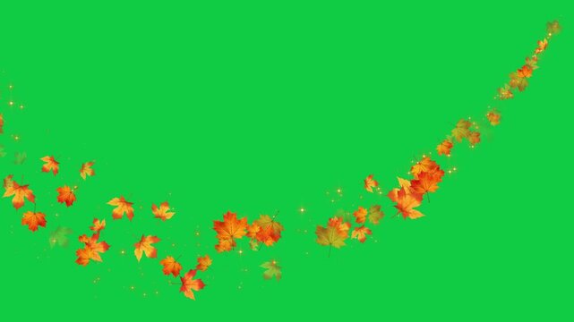 colorful autumn leaves wave trail isolated green screen animation,chroma key leaf thanksgiving and Halloween celebration stream overlay vertical social media design element