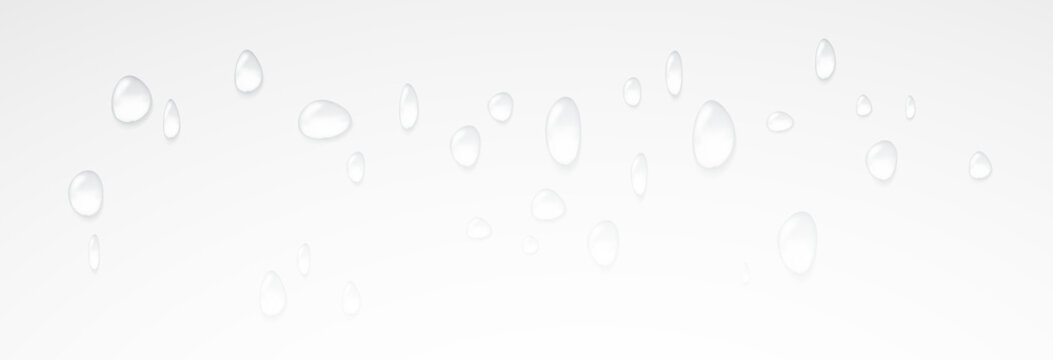 Realistic vector water drops png on a transparent light background. Water condensation on the surface with light reflection and realistic shadow. 3d vector illustration	
