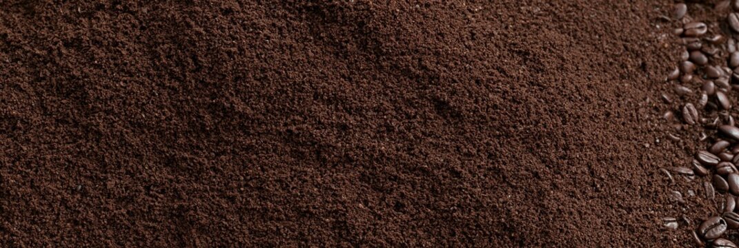 Close-up macro shot of dark roasted coffee grounds with whole coffee beans on the side