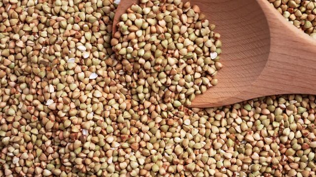 Raw buckwheat groats with a wooden spoon. Uncooked triangular grains