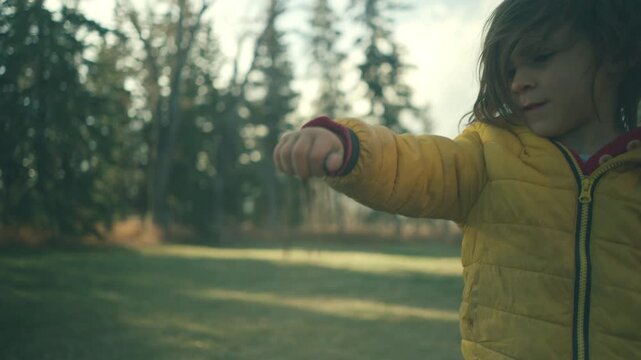 Close-up of young boy letting dust and dirt fall from his hands in a park