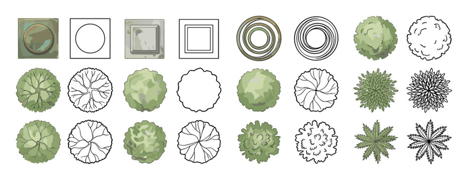 Overhead view of trees and plants for architectural visualization projects.