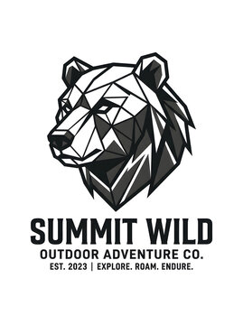 company logo design