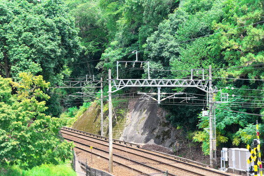 豊かな緑の山間を走る線路と警報機のある踏切の風景
