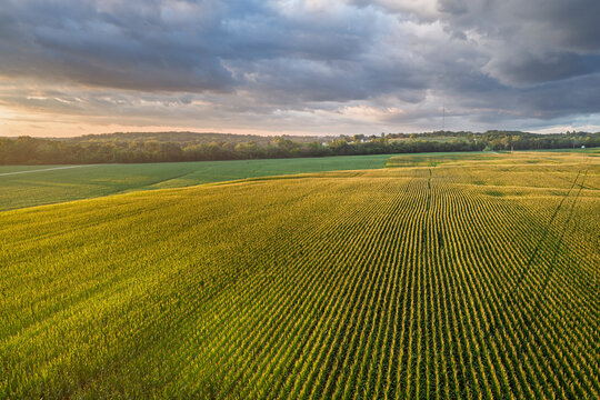 rural lanscape of central MIssouri with corn and soybean fields