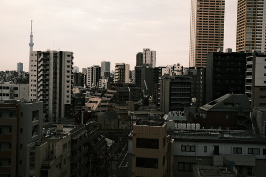 Tokyo urban skyline with Tokyo Skytree and dense residential buildings