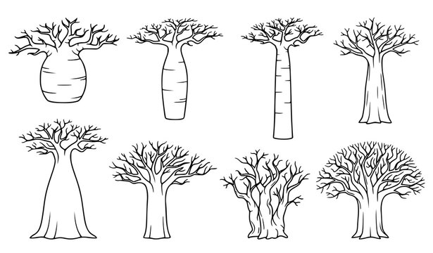 Collection of stylized baobab tree silhouettes with distinctive trunks and spreading branches for botanical illustration