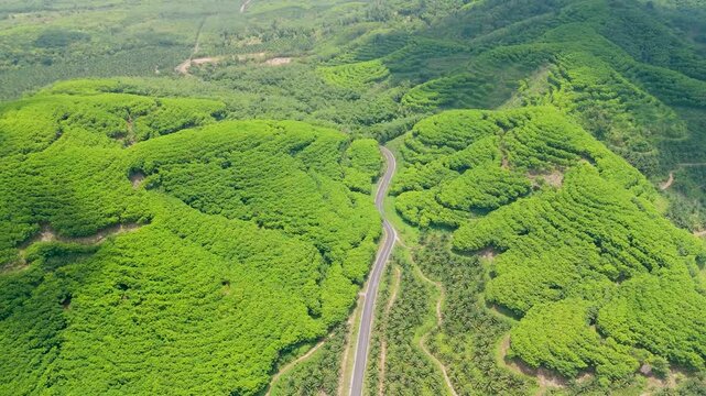 Winding roads cut through dense green hills and tropical vegetation near Samet Nongshe Viewpoint in Phang nga under the clear daylight sun of Thailand