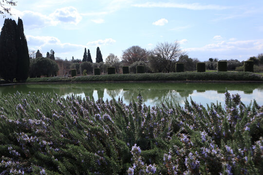 Grande vasca d'acqua del Pecile a Villa Adriana circondata da siepi curate e alti cipressi sotto un cielo sereno, Tivoli, Italia