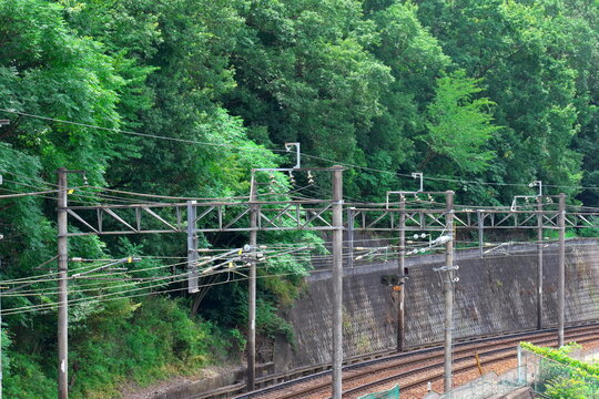 緑豊かな山林沿いを緩やかにカーブして伸びる線路と連続する架線柱の風景