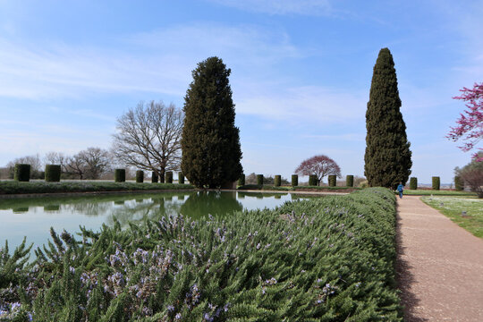 Grande vasca d'acqua del Pecile a Villa Adriana circondata da siepi curate e alti cipressi sotto un cielo sereno, Tivoli, Italia