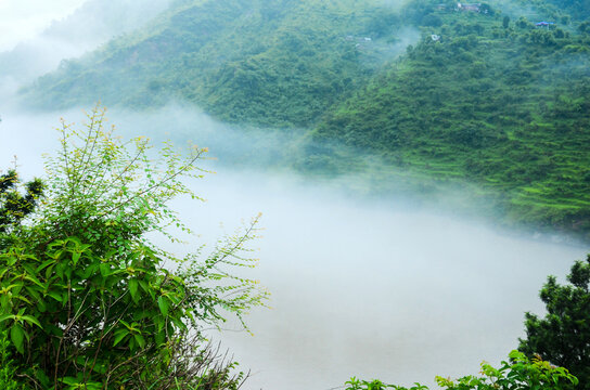 Misty Green Hills with Foggy Valley Landscape