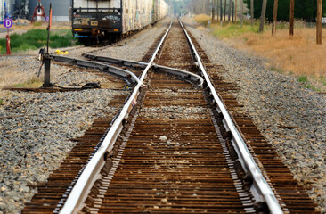 Fototapeta premium Railroad Rail Road Tracks Curving in the Distance Representing Travel and Unlimited Exploration