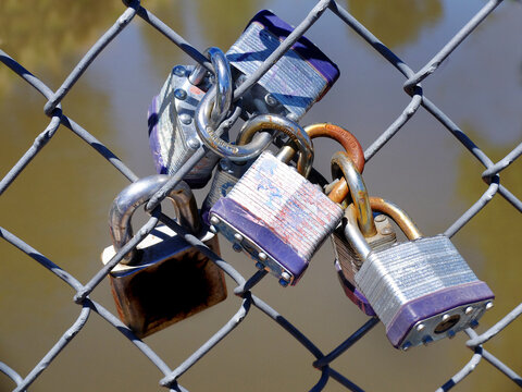 Locks Padlocks on Chain Link Fence Representing Love and Long Lasting Relationships