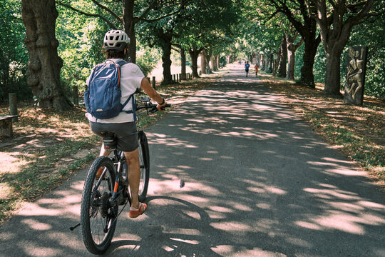 Active woman cycling on a sunny Sunday afternoon along a historic tree-lined avenue in Monrepos Park. Ludwigsburg, Baden-W&uuml;rttemberg, Germany.
