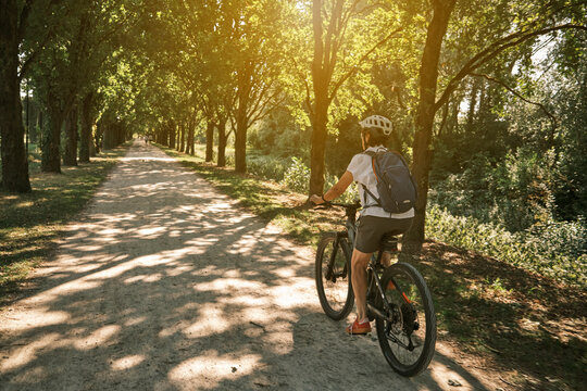 Active woman cycling on a sunny Sunday afternoon along a historic tree-lined avenue in Monrepos Park. Ludwigsburg, Baden-W&uuml;rttemberg, Germany.
