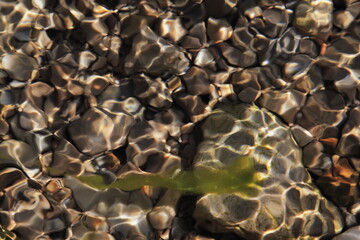 Abstrack stones, pebbles and water texture. © Mrk