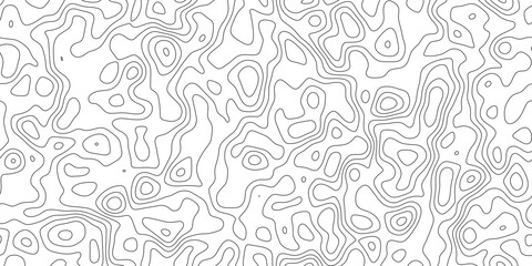 Abstract modern topographic line art background, fine linear pattern showing land elevation and altitude, for website, header and print layout. © RASEL
