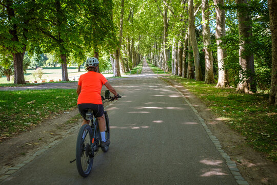 female Cyclist riding a bicycle along a peaceful forest avenue surrounded by lush green trees and dappled sunlight. Stuttgart, Baden-W&uuml;rttemberg, Germany.