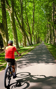 female Cyclist riding a bicycle along a peaceful forest avenue surrounded by lush green trees and dappled sunlight. Stuttgart, Baden-W&uuml;rttemberg, Germany.