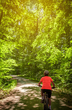 female Cyclist riding a bicycle along a peaceful forest avenue surrounded by lush green trees and dappled sunlight. Stuttgart, Baden-W&uuml;rttemberg, Germany.