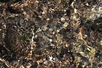 Abstrack stones, pebbles and water texture. © Mrk