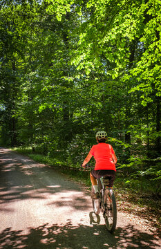 female Cyclist riding a bicycle along a peaceful forest avenue surrounded by lush green trees and dappled sunlight. Stuttgart, Baden-W&uuml;rttemberg, Germany.