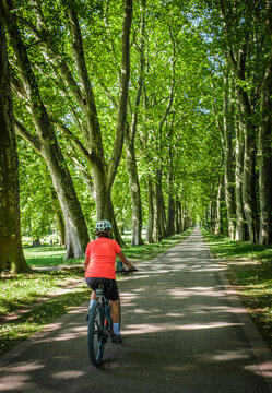 female Cyclist riding a bicycle along a peaceful forest avenue surrounded by lush green trees and dappled sunlight. Stuttgart, Baden-W&uuml;rttemberg, Germany.