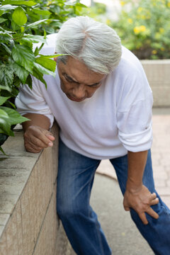 asian grandfather, silver gen with white hair experiencing osteoarthritis knee joint pain while walking in the park, losing his balance, health concept lifestyle shot