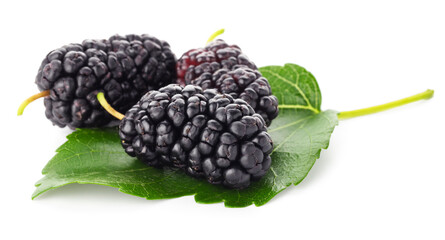Fresh mulberries with green leaf isolated on white © New Africa