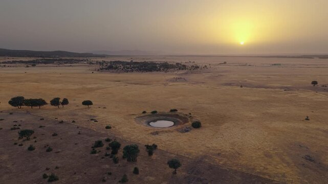 Dry pastoral landscape in the Dehesa of Salamanca during a summer heatwave, showing the effects of water scarcity, desertification and extreme heat on the ecosystem