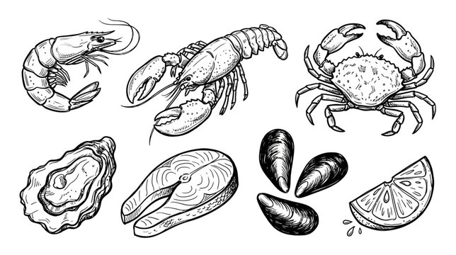 Hand drawn seafood collection featuring a detailed doodle vector set of fresh fish shellfish and lemon slices