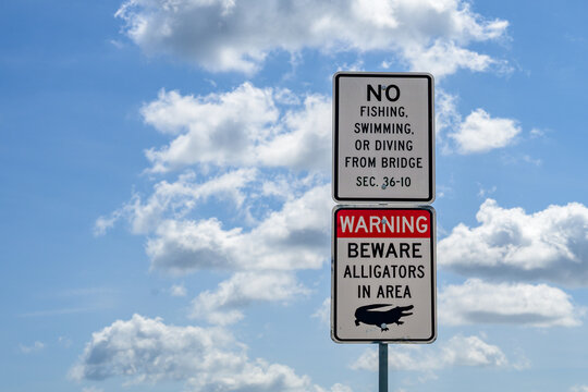 "No Fishing, Swimming or Diving From Bridge" and "Beware of Alligators in Area" Signs along Lake Pontchartrain in Metairie, LA, USA