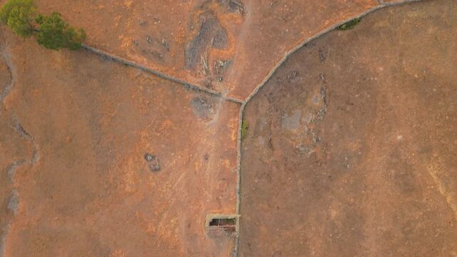 Aerial cenital view flying over a dry dehesa landscape in Salamanca, Spain, showing the devastating effects of a heatwave, drought, and extreme water scarcity