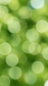 Lush green leaves with gentle natural movement and soft bokeh, peaceful forest foliage background creating a fresh calming summer nature atmosphere