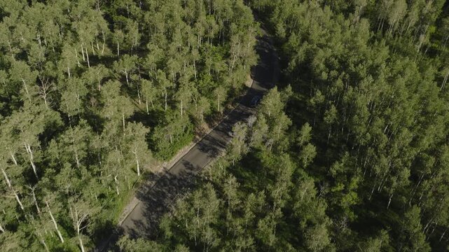 An aerial tracking shot of a car on a mountain road with trees, Utah, USA