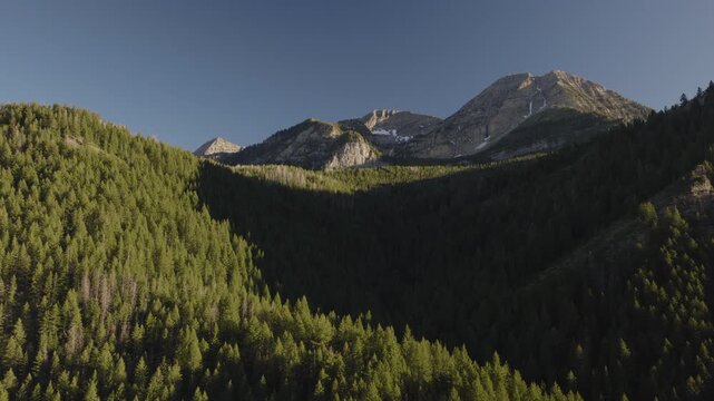 An aerial shot of a forest and  the north side of Mount Timpanogos in the afternoon in Summer, Utah, USA