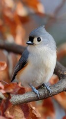 Obraz premium A small bird perched on a branch with autumn leaves, perfect for mobile wallpaper.