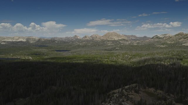 An aerial shot of a forest and the Uintah mountains at mid day in the summer, Utah, USA