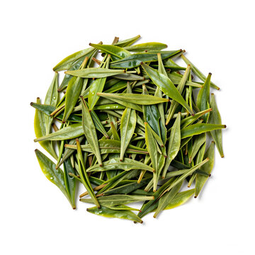 Pile of fresh green tea leaves, healthy beverage ingredient, natural antioxidant, and traditional herbal drink