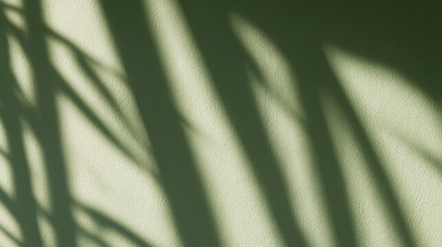 Natural Plant Shadows on Textured Green Wall Background