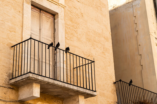 Pigeons perched on iron balcony railing of aged limestone building in Bari, Italy, with closed wooden shutters and warm ochre facade in southern European old town