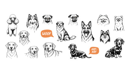 Fototapeta premium Collection of hand-drawn dog breed portraits and silhouettes with speech bubbles on a white background