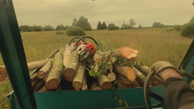 Firewood preparation and transportation. Person driving on farm tractor with trailer loaded with cut logs and chainsaw. Transporting firewood for heating in countryside. Tractor driver transports 