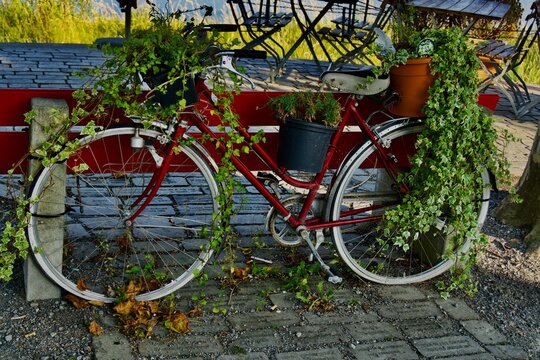 Arbon